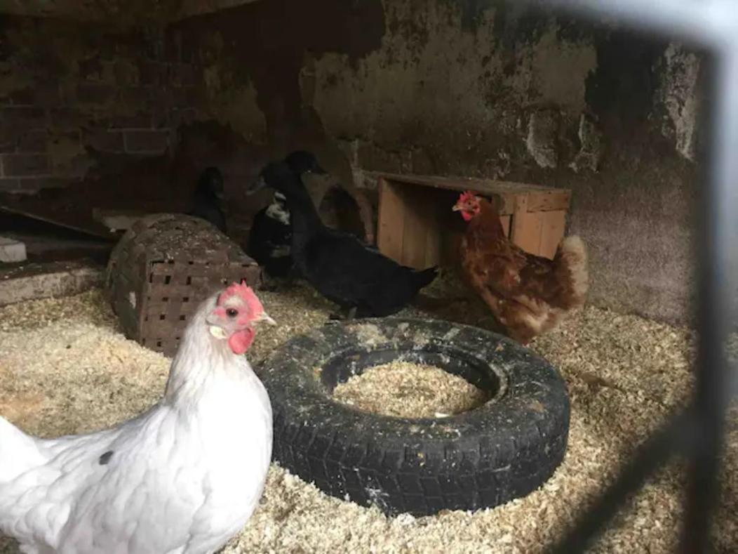 Niiralan Tila : Starlite Cabin Laitila Dış mekan fotoğraf